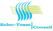 Eclec Team Conseil logo